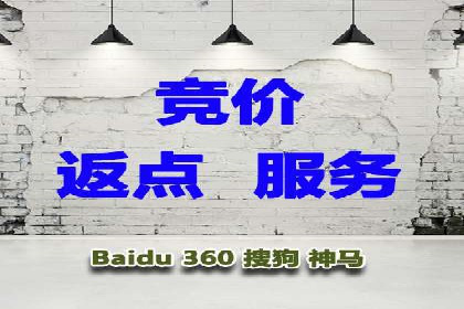 企业SEM服务实战案例解析